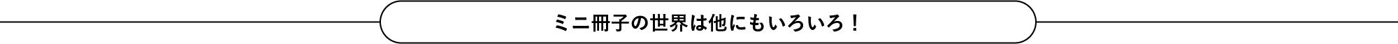 ミニ冊子の世界は他にいろいろ！